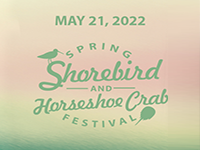Spring Shorebird and Horseshoe Crab Festival